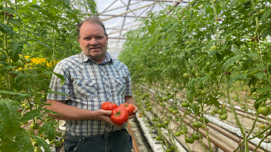 Scott Beylik is third-generation greenhouse tomato farmer