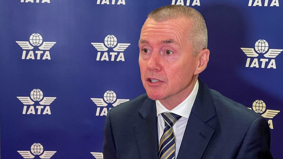 International Air Transport Association Director