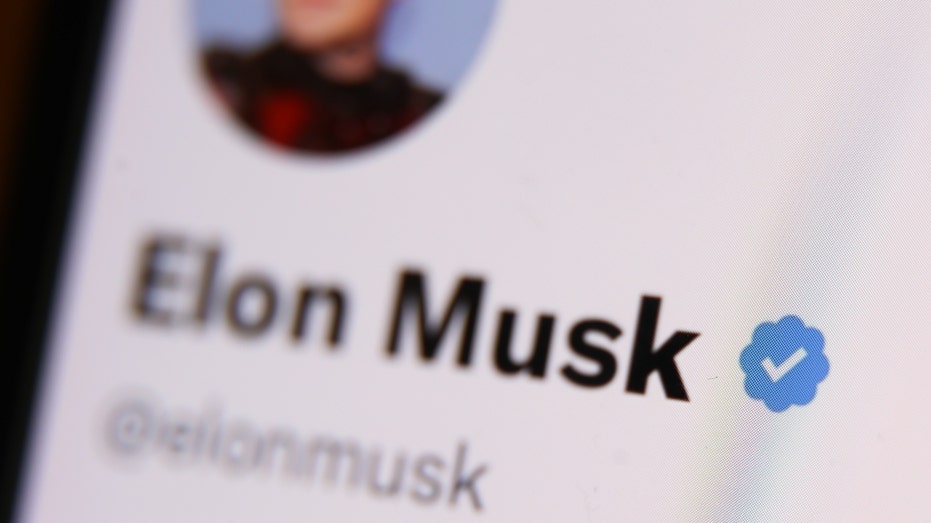 The blue checkmark on Elon Musk's account on Twitter