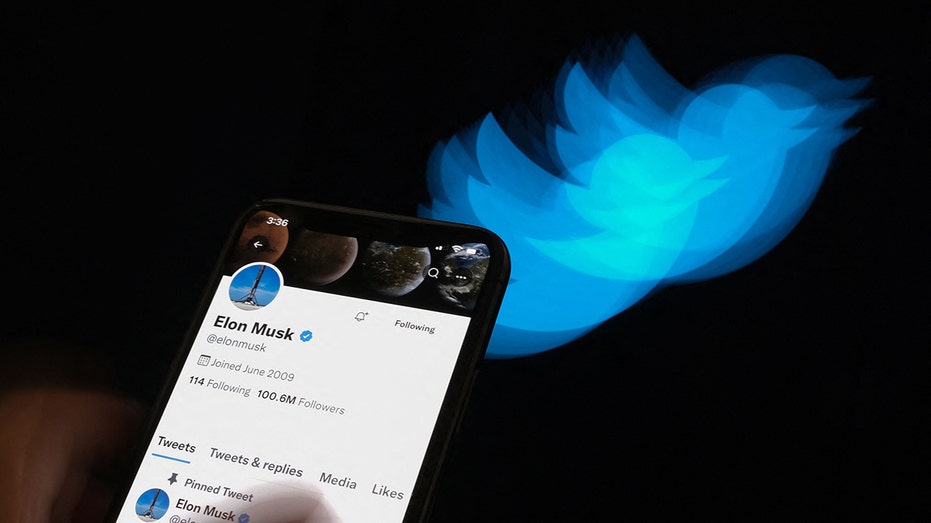 Elon Musk's Twitter profile