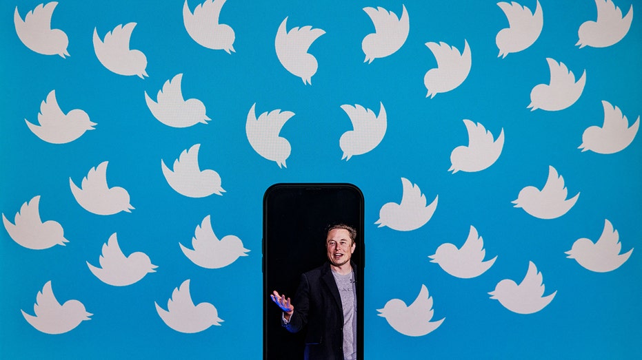 Elon Musk with the Twitter logo