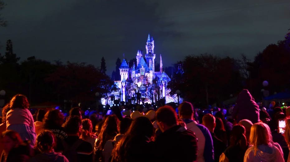 Disneyland at night