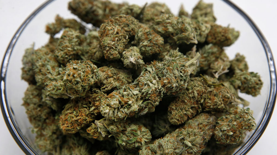 Cannabis in a bowl