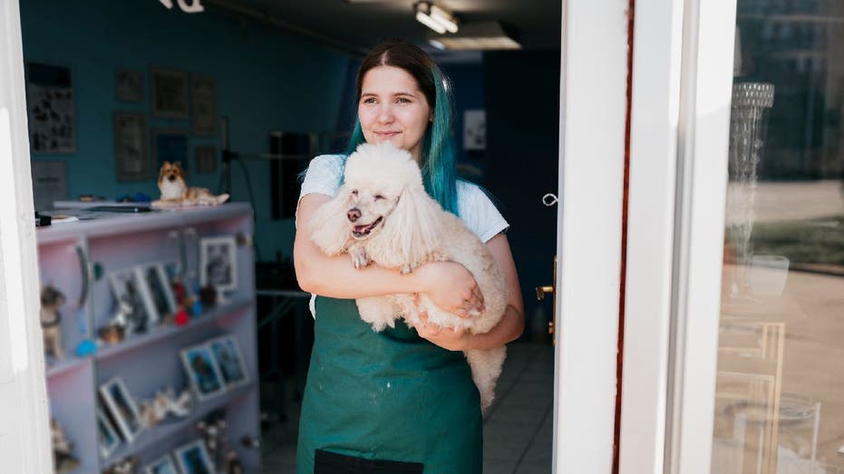 Female dog groomer with blue hair cradles a poodle in her arms.