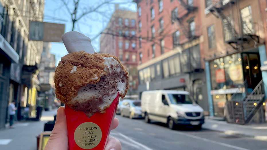 whipped smores ice cream