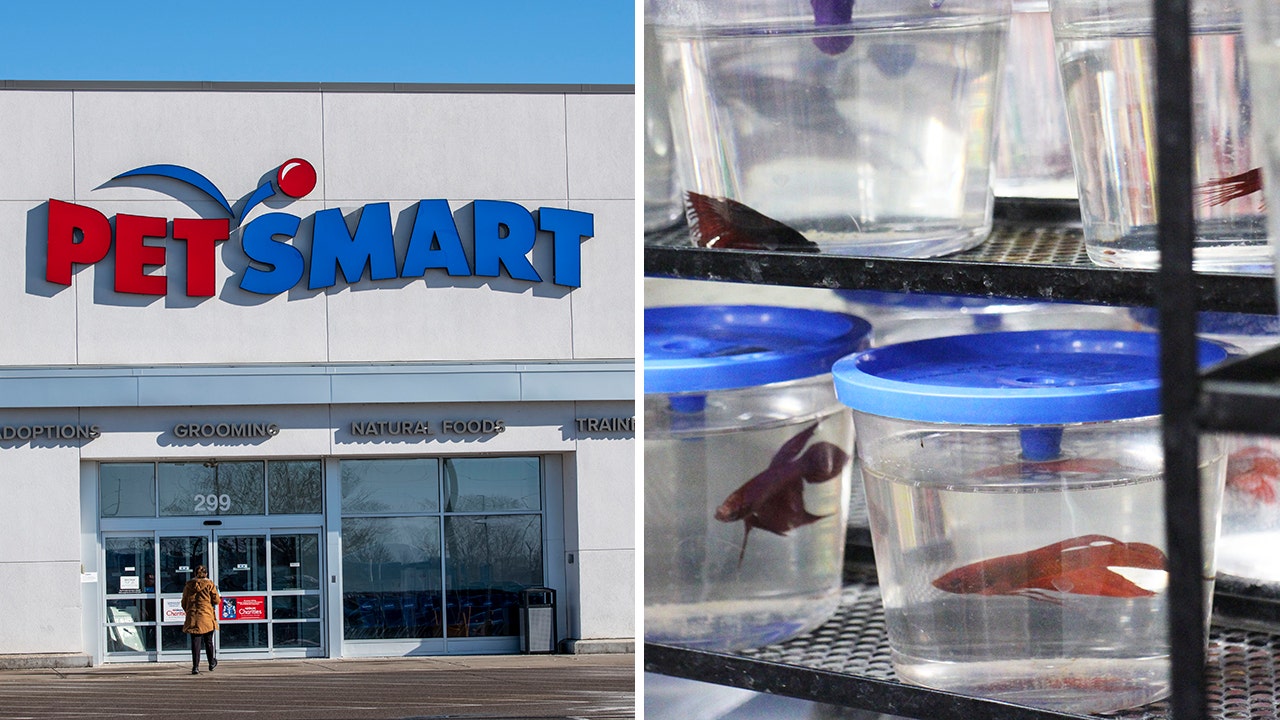 Idaho woman's viral TikTok shows box of live fish found in PetSmart
