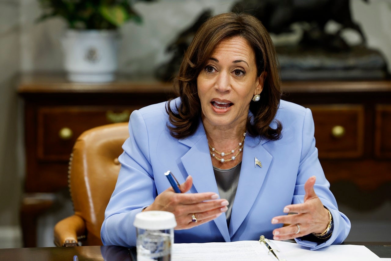 NextImg:Major Biden donor shares concerns over Kamala Harris run, slams Democrats for 'squandering' big opportunity