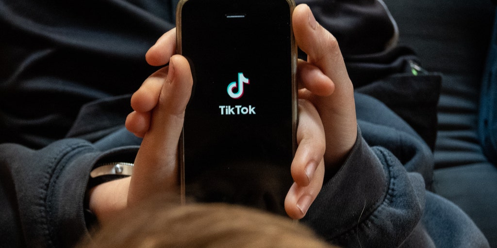 Maryland public school sues TikTok, Meta, Snapchat for contributing to mental health crisis - Vimarsana News