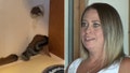 Colorado woman Amber Hall said she found snakes inside her walls and under her patio as she moved in to her new home.