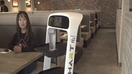 Restaurants across America turning to robot servers in response to food industry's worker shortage