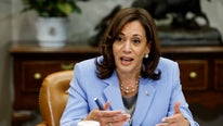 Major Biden donor shares concerns over Kamala Harris run, slams Democrats for 'squandering' big opportunity