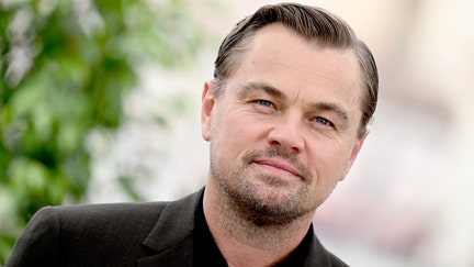 A portrait of Leonardo DiCaprio was auctioned off for charity at the amfAR Cannes gala.