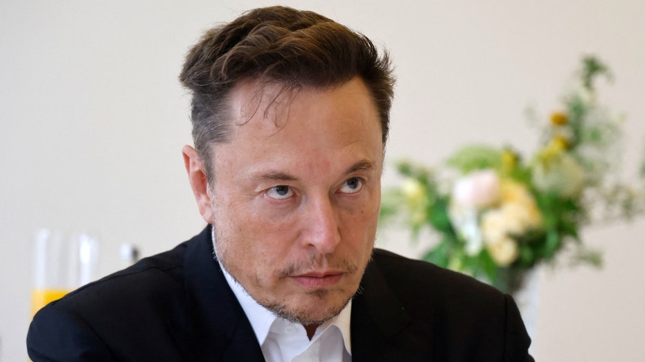 Electric car maker Tesla CEO Elon Musk