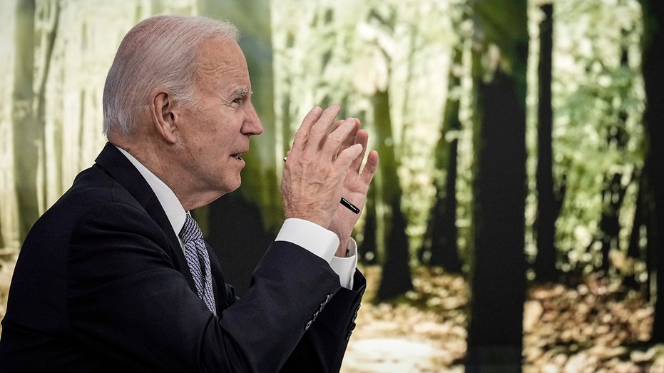 President Biden on climate change goals