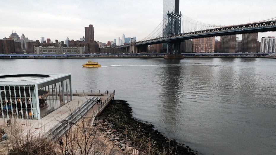 A general view of Lower Manhattan across the East River from Brooklyn