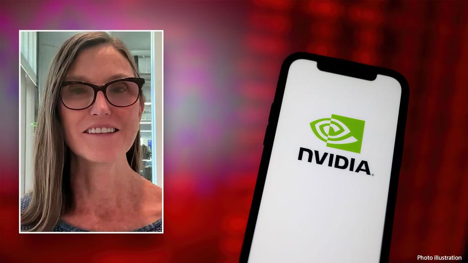 Cathie Wood on Nvidia stock surge