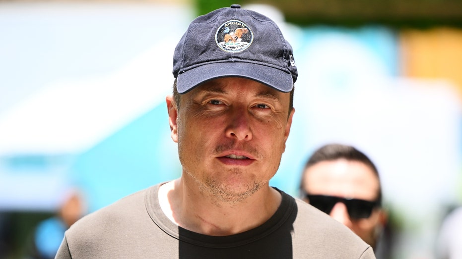 Elon Musk walks