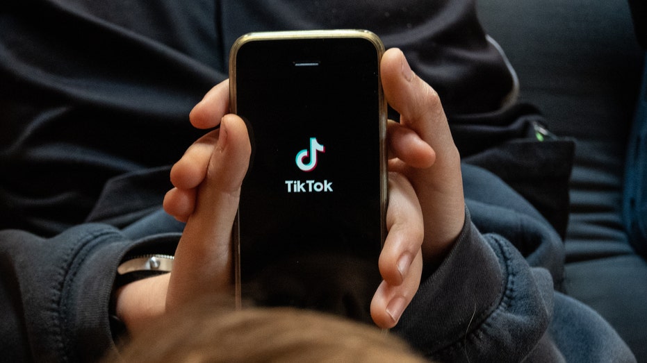 TikTok app