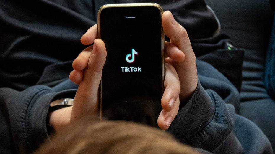 TikTok app