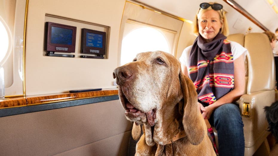 Sherry Nauss seated on a private jet with her dog Betty.