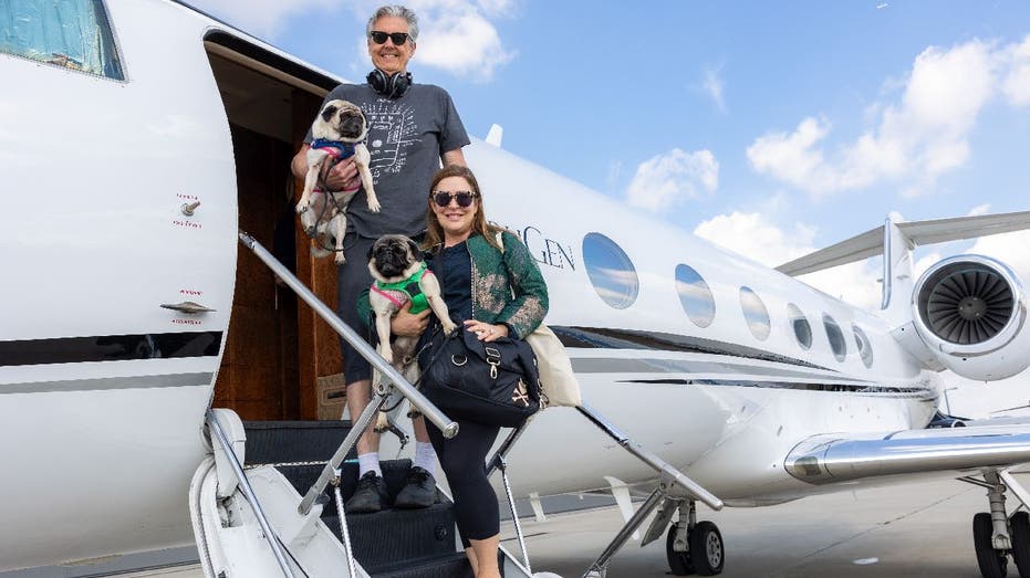 Gene and Donna Baxter board private jet with their French bulldogs Bubble and Squeak.