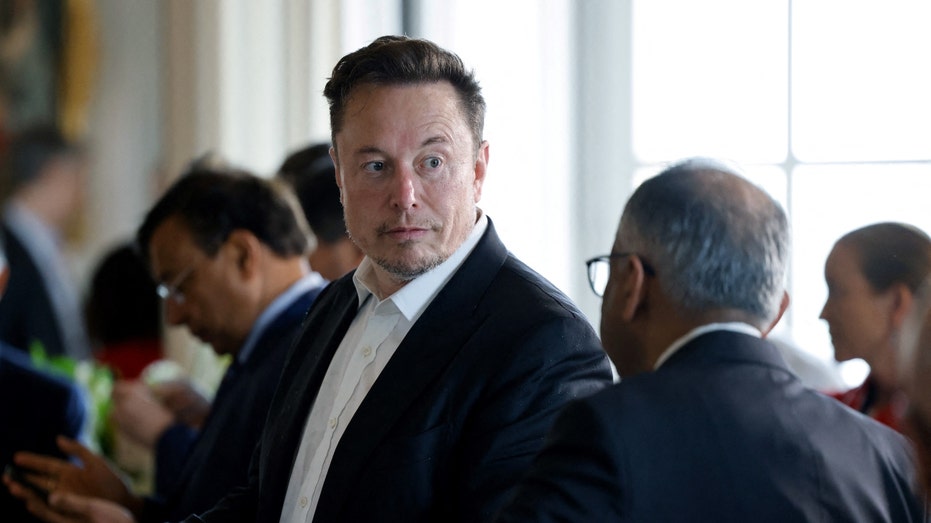 Electric car maker Tesla CEO Elon Musk 