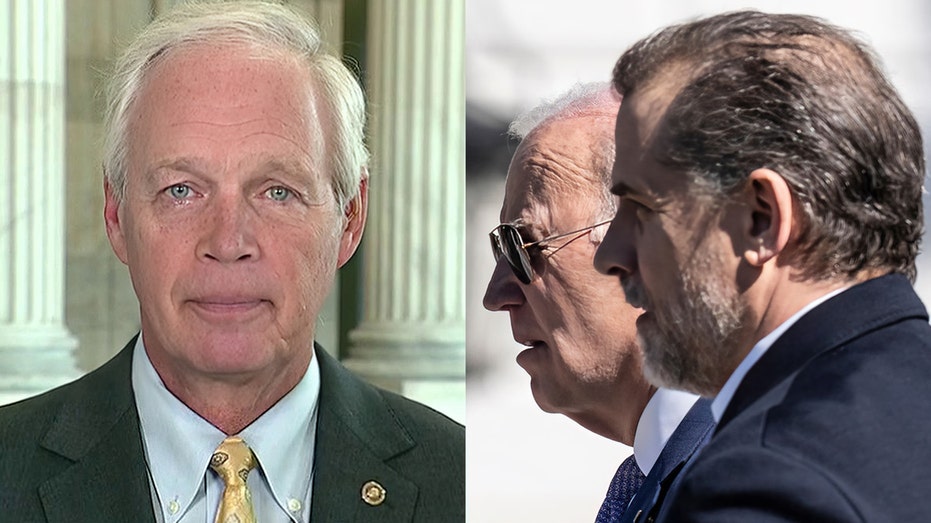 Ron Johnson on Biden family schemes
