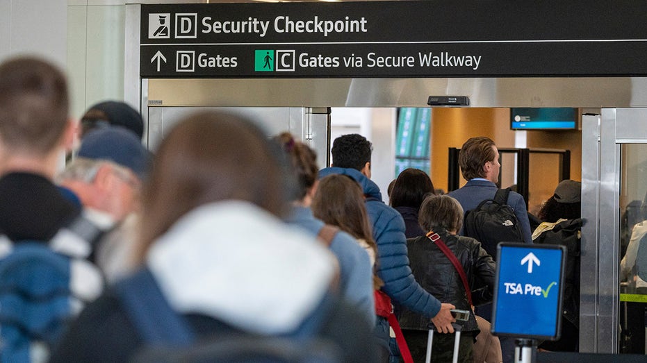 TSA line