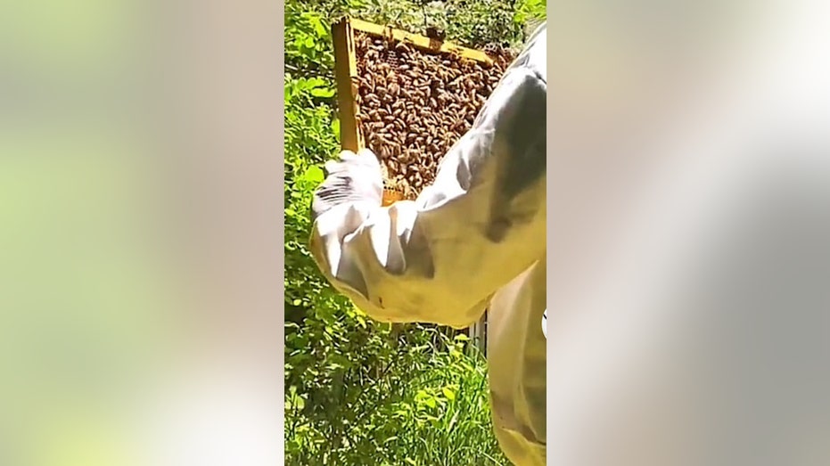 bee keeper with hive Beesential