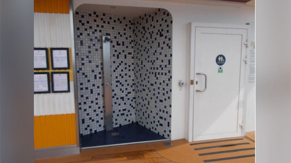 An unisex bathroom on the Harmony of the Seas top deck