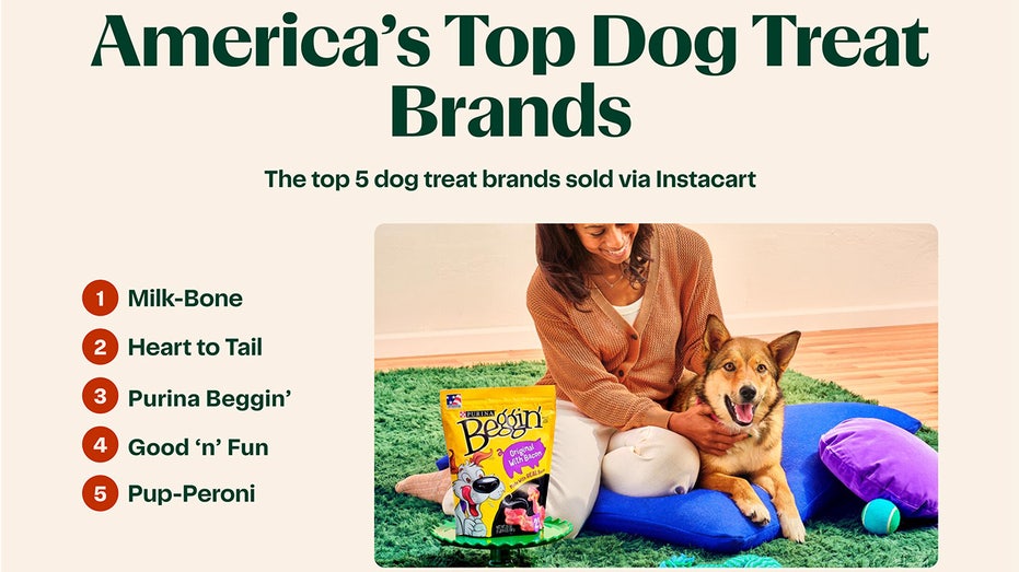 dog treat brands