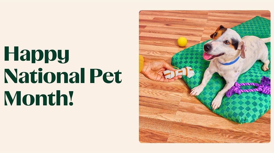 National Pet Month Instacart