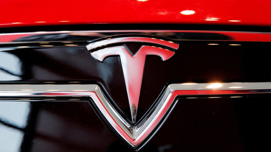 Tesla logo on a Model S