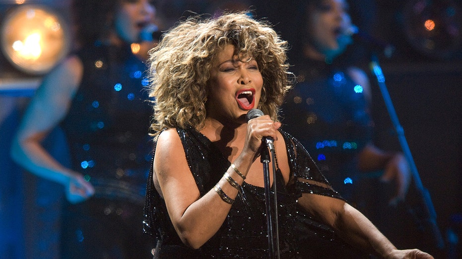 Tina Turner at a concert
