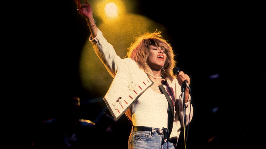 Tina Turner performing