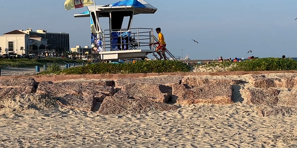 Nationwide lifeguard shortage may cause hundreds of pools and beaches to close this summer - Vimarsana News