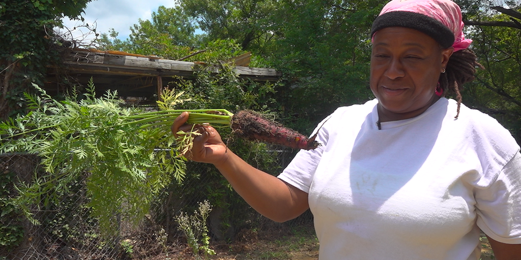 Mississippi residents 'just dealing with' limited food access: 'We need more grocery stores' - Vimarsana News