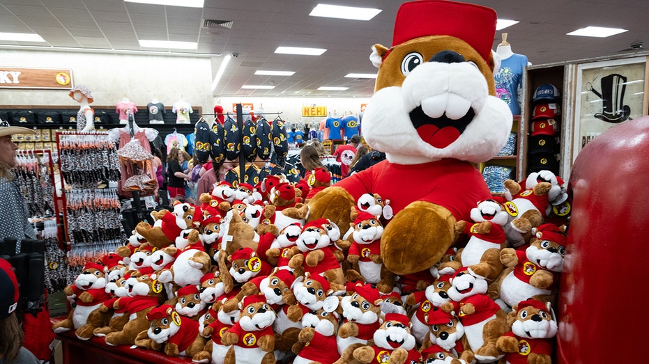 Buc-ee's plush beaver stand