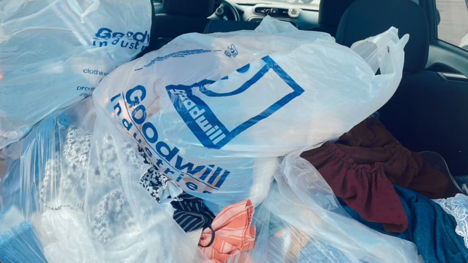 Goodwill bags