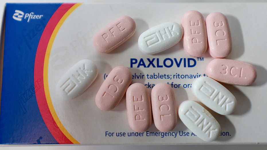 Pfizer's Paxlovid