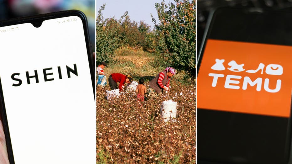 Shein and Temu logos and Uhygur workers in the field