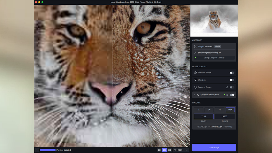 Tiger enhance resolution Topaz Labs