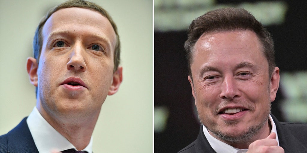 Elon Musk vs Mark Zuckerberg: Odds markets just flipped - Elon Musk,  Georges St-Pierre, Lex Fridman agree to team up against Mark Zuckerberg for  MMA fight