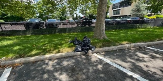 Goat carcasses in bags behind Burger King