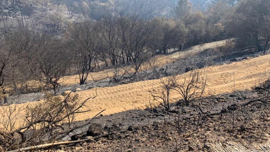 Fire damage on the side of Clover Flat Landfill