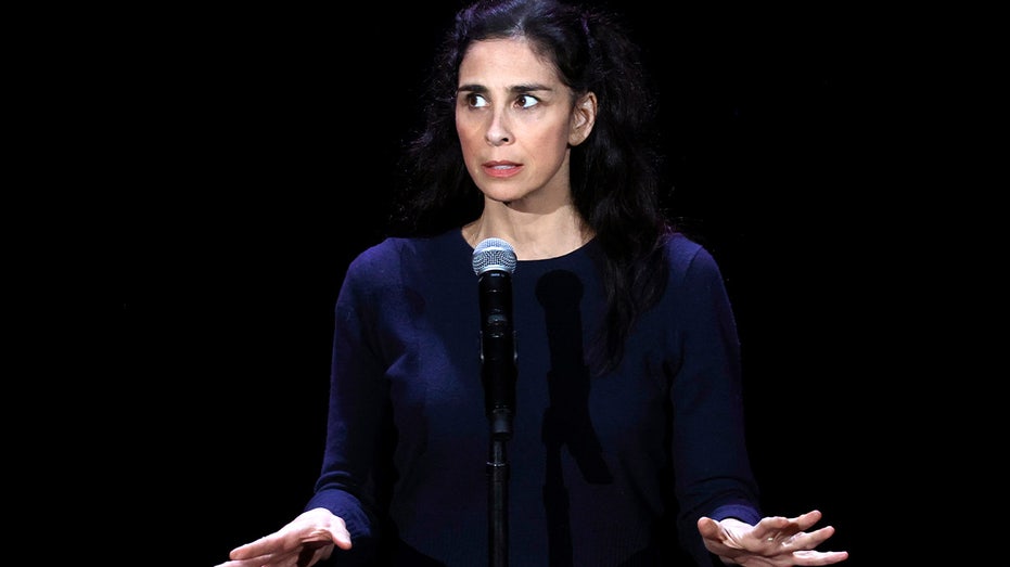 Sarah Silverman speaking at an event