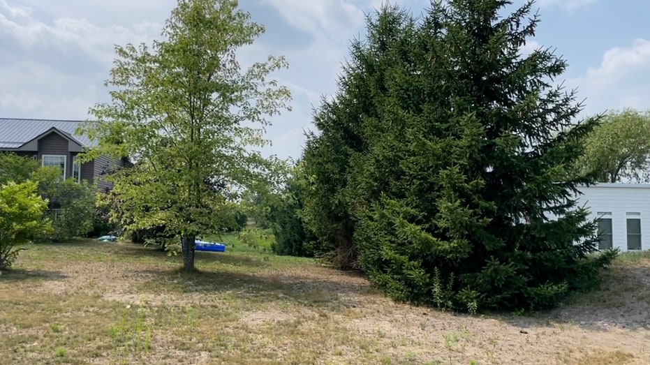 a large house is to the left with a few trees to the right of it, followed by another smaller house to the right of the trees