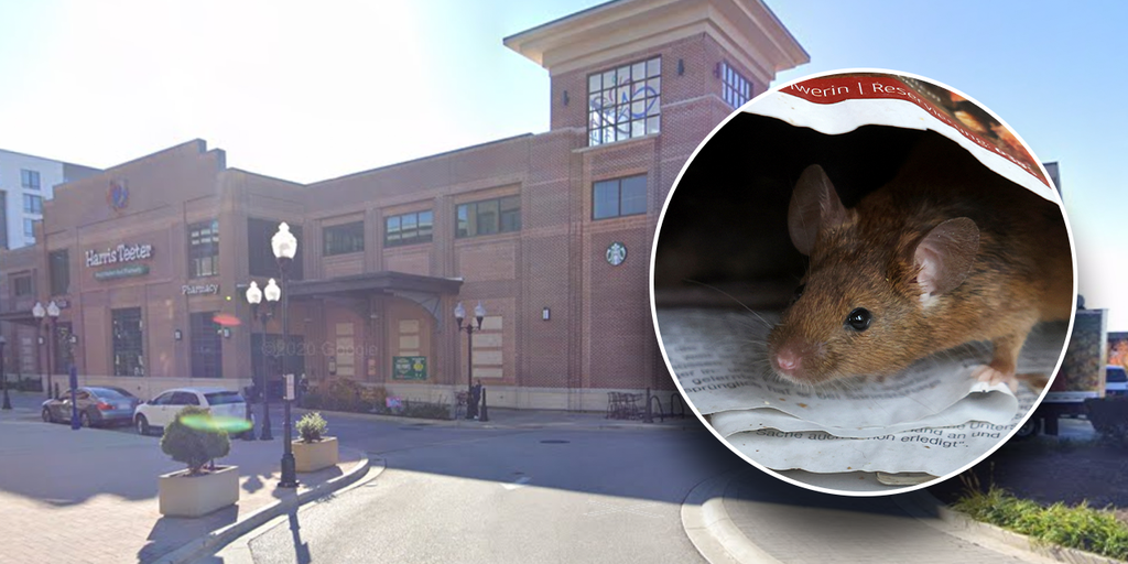 Upscale Baltimore grocery store closed for days over disturbing infestation - Vimarsana News