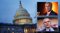 GOP rep calls McCarthy 'absolutely insane' for pushing short-term shutdown resolution