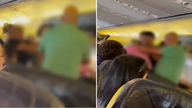 Three Ryanair passengers removed from flight after brawl erupts: video